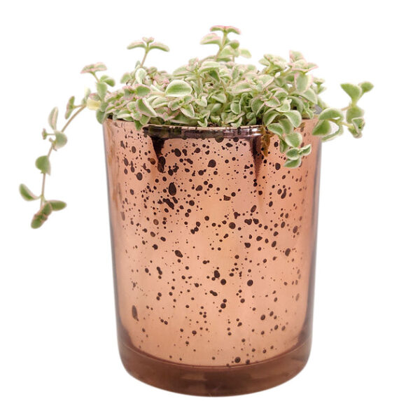 Pink Sparkly Pot