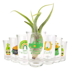 St. Patrick's Day Airplant Holder