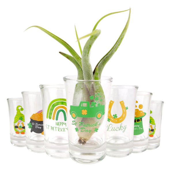 St. Patrick's Day Airplant Holder