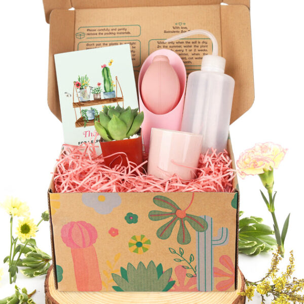 Succulent Beginner Kit Gift Box - Image 7