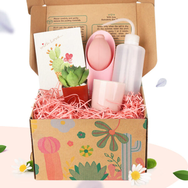 Succulent Beginner Kit Gift Box - Image 2