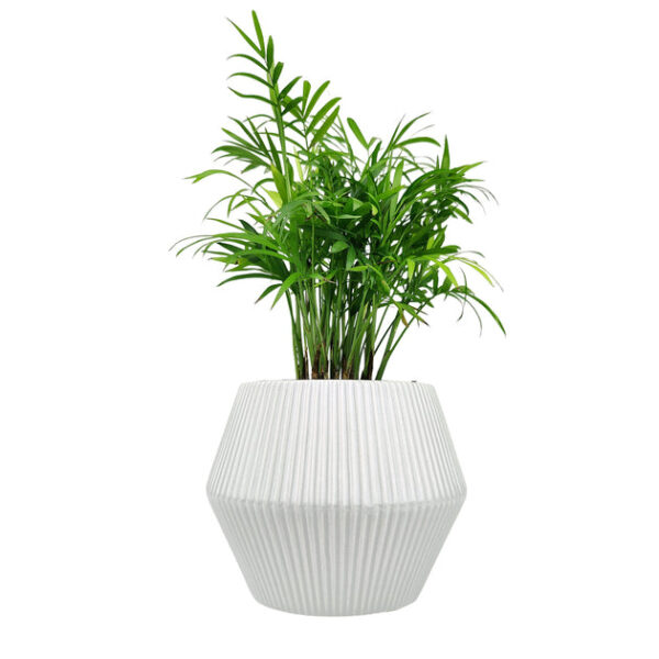 6 inch White Glazed Geometric Striped Ceramic Planter - Image 5