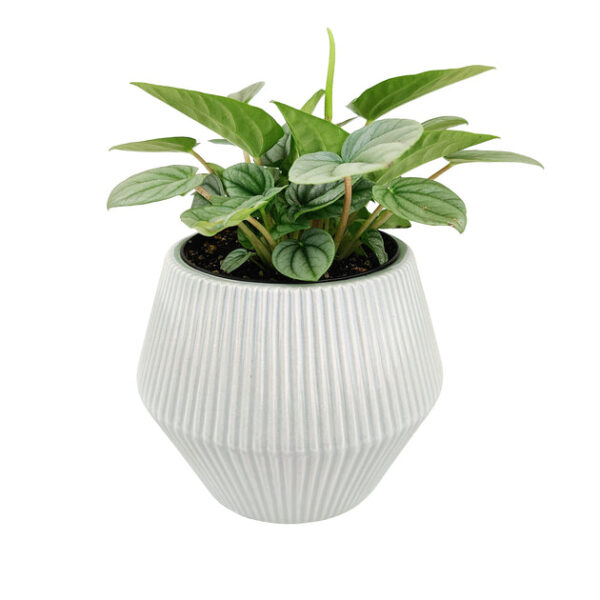 6 inch White Glazed Geometric Striped Ceramic Planter - Image 9