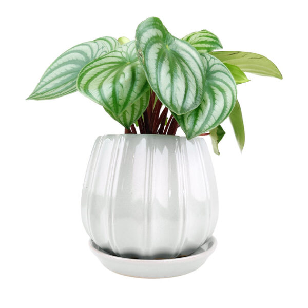 6 inch Grey Glazed Ceramic Contour Planter - Image 2