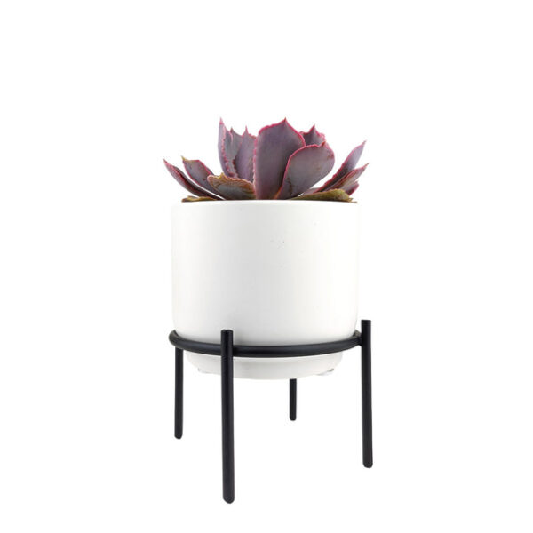 4 inch Solid White Ceramic Planter with Metal Stand - Image 2
