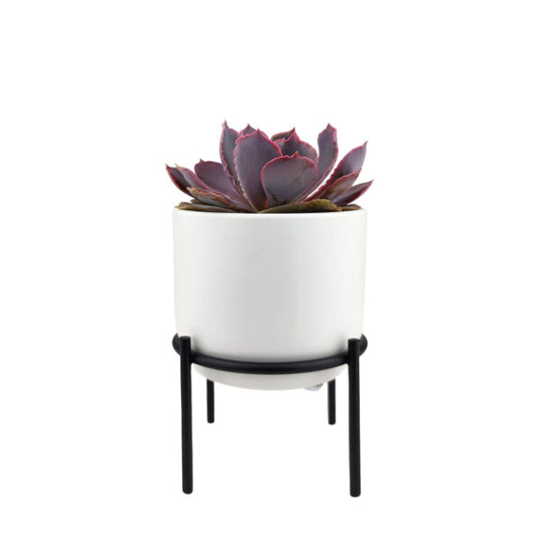 4 inch Solid White Ceramic Planter with Metal Stand - Image 8
