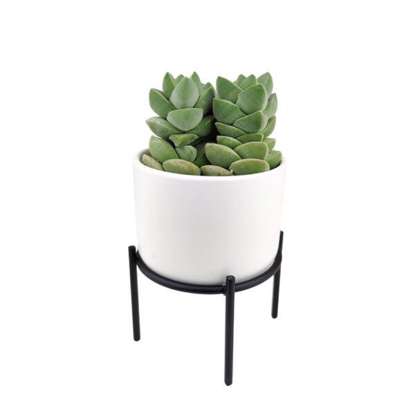 4 inch Solid White Ceramic Planter with Metal Stand - Image 6