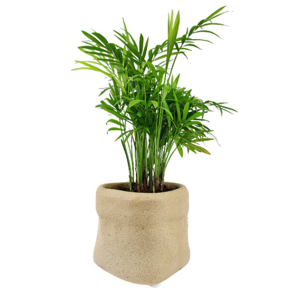 4 inch Beige Satchel Ceramic Plant Pot - Image 3