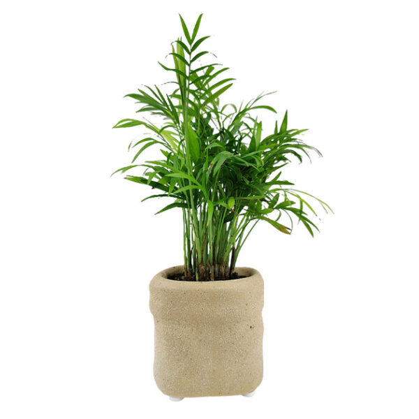 4 inch Beige Satchel Ceramic Plant Pot - Image 4