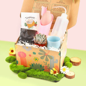 Succulent Beginner Kit Gift Box