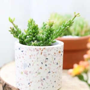 Terrazzo Pot