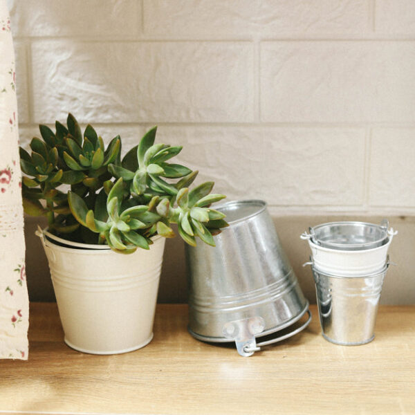 2.5" Tin Pail - Image 2