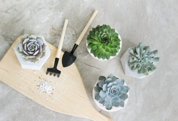 Wooden Gardening Tools - Image 5