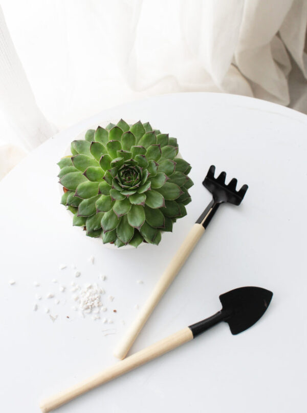 Wooden Gardening Tools - Image 6