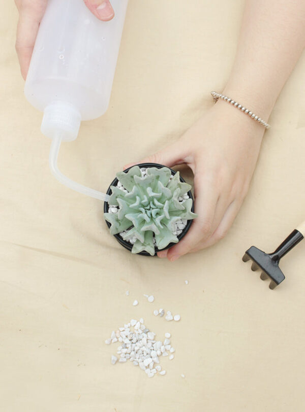 Wooden Gardening Tools - Image 8