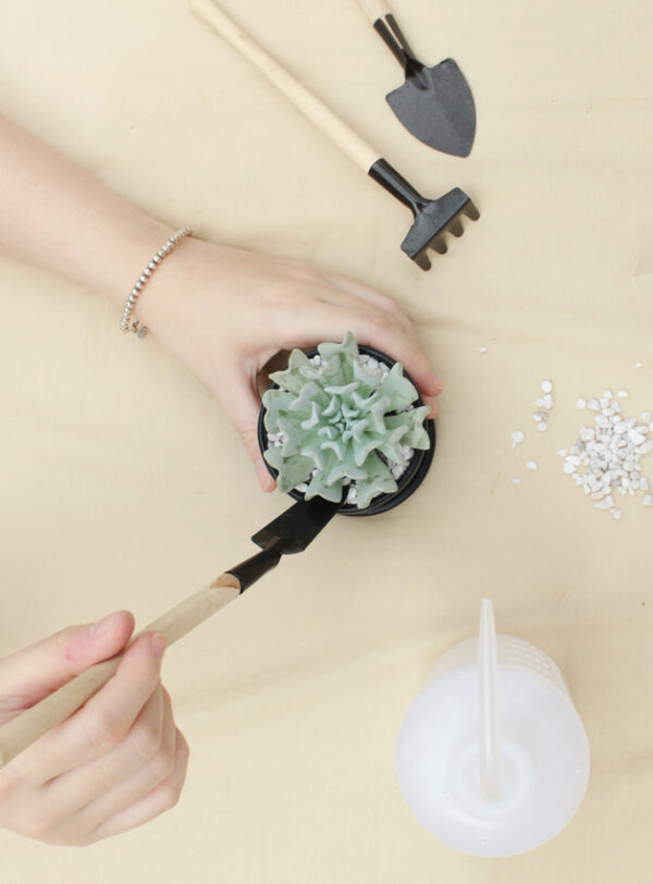 Wooden Gardening Tools - Image 9